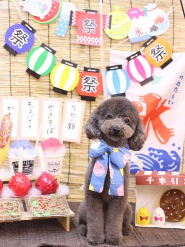 20240710chipieちゃん